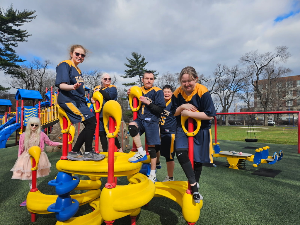 Male and female Goalball players dressed in matching blue and gold jerseys are standing on a piece of playground equipment.