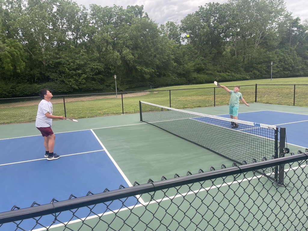 Two male campers participate in a game of pickleball on a green and blue court. They are standing on opposite sides with a black net separating them.