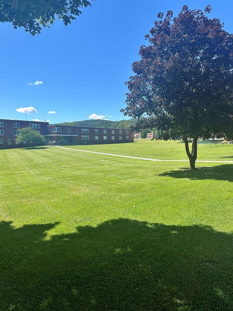 Seaton Hall in the distance with a strip of green grass and a large tree in the foreground.