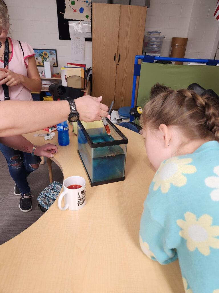 A student leans in for a closer look at a small aquarium as an adult adds colored water during a hands-on hurricane science experiment.