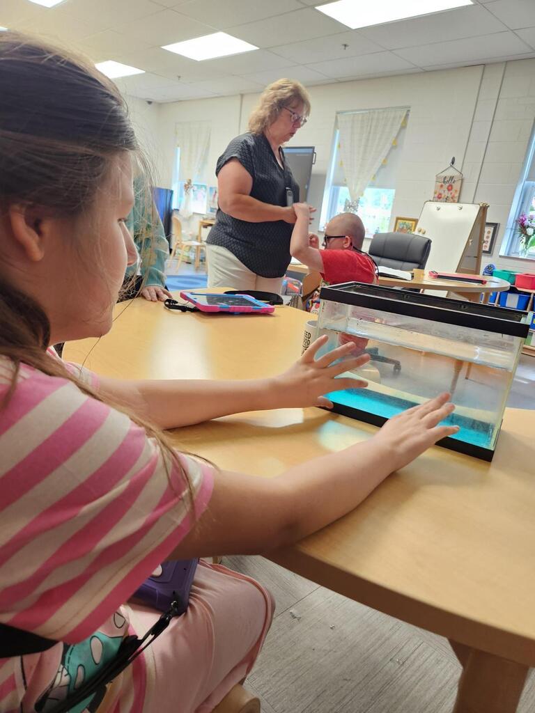 A student observes a small aquarium containing blue-colored water during a classroom experiment exploring how warm and cold water behave.