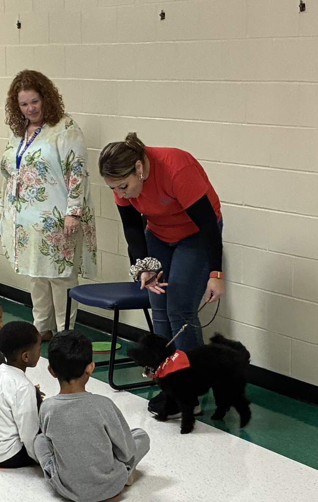 TC Disability Awareness Fair 2026