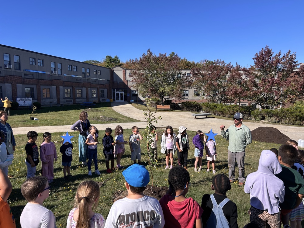 Orchard Planting