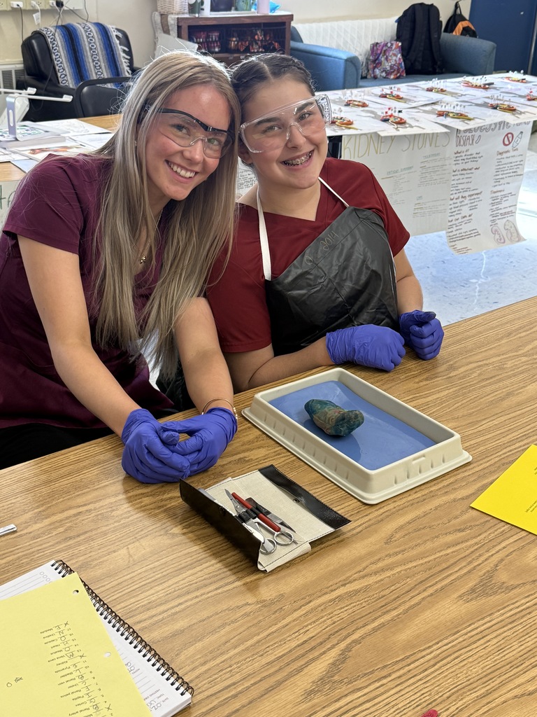 Med Occ students dissecting 