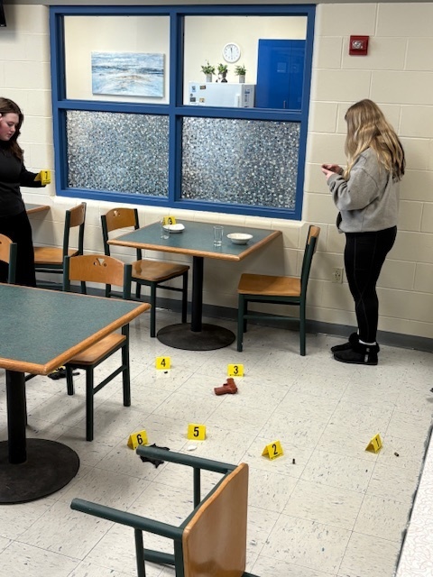 forensic 3