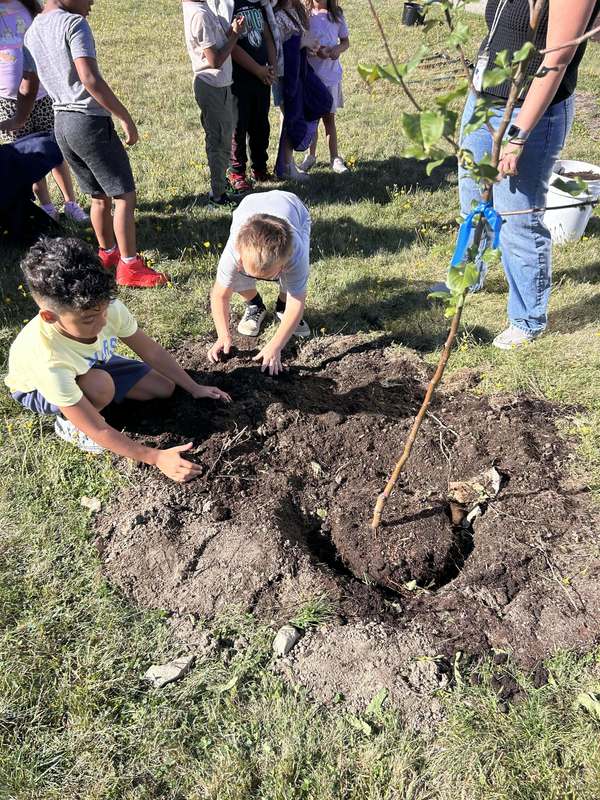 Orchard Planting