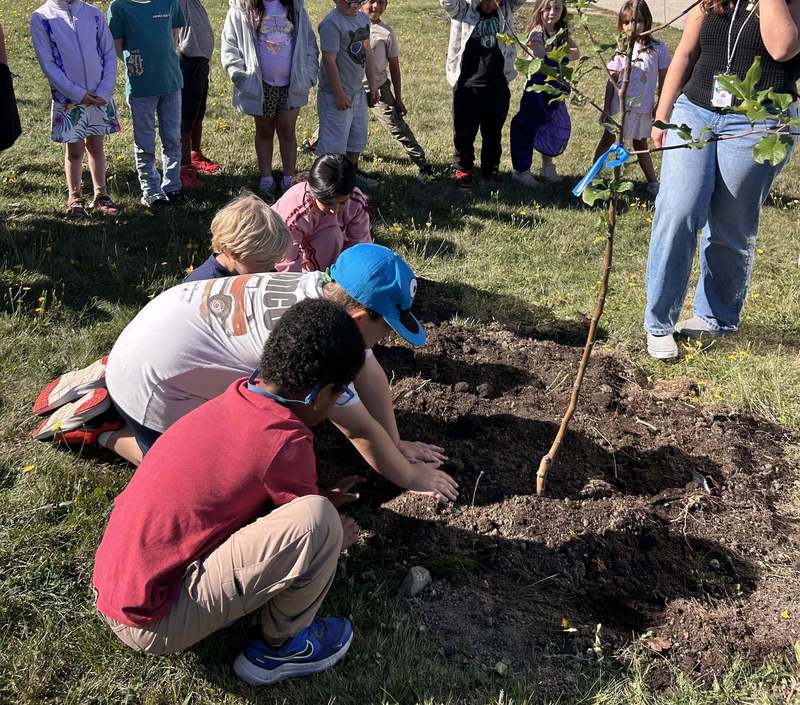 Orchard Planting