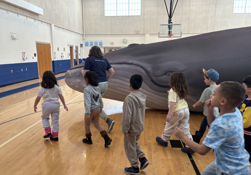 kids walking by whale