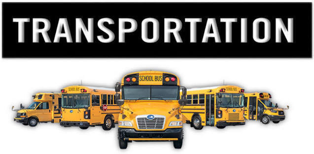 Image of a line of school buses