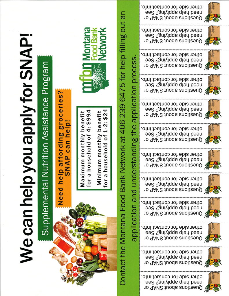 SNAP flyer