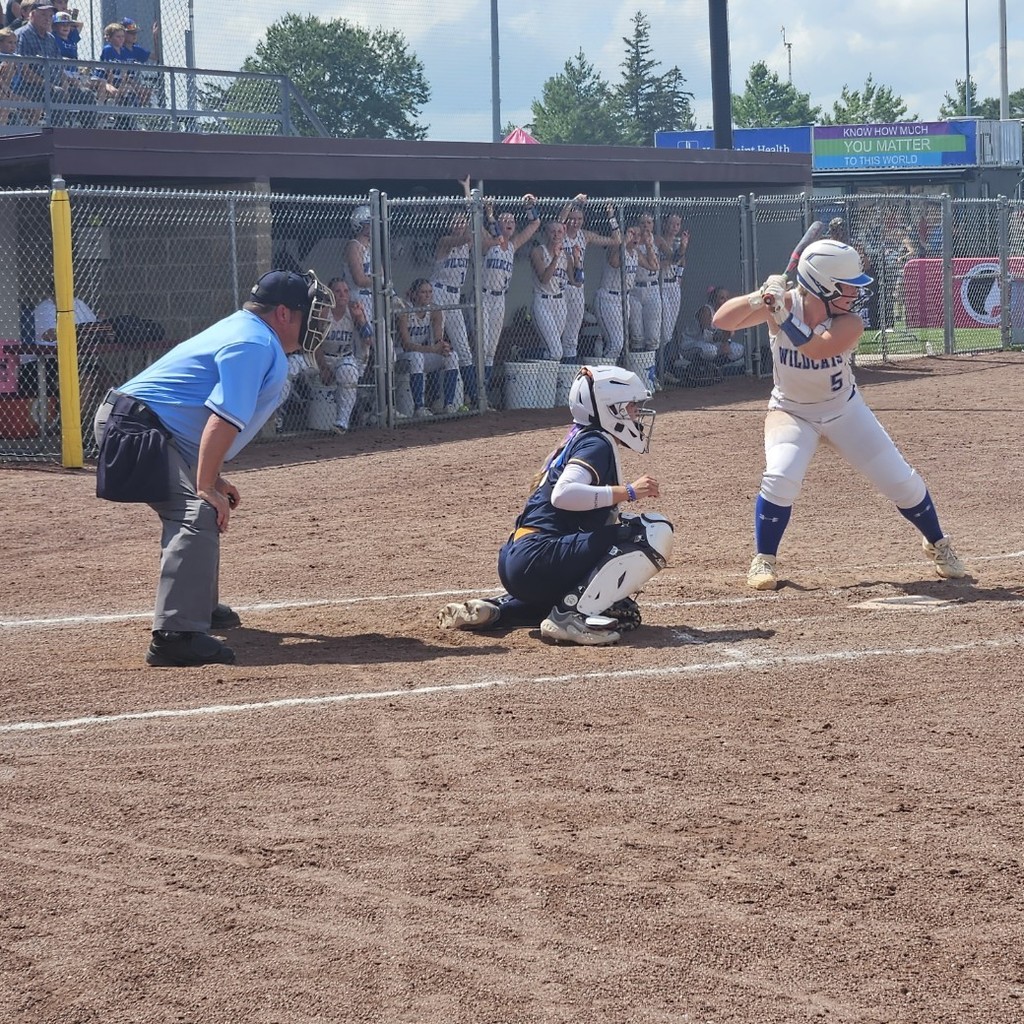 Softball2