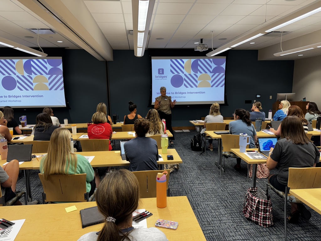 Bridges Intervention 1