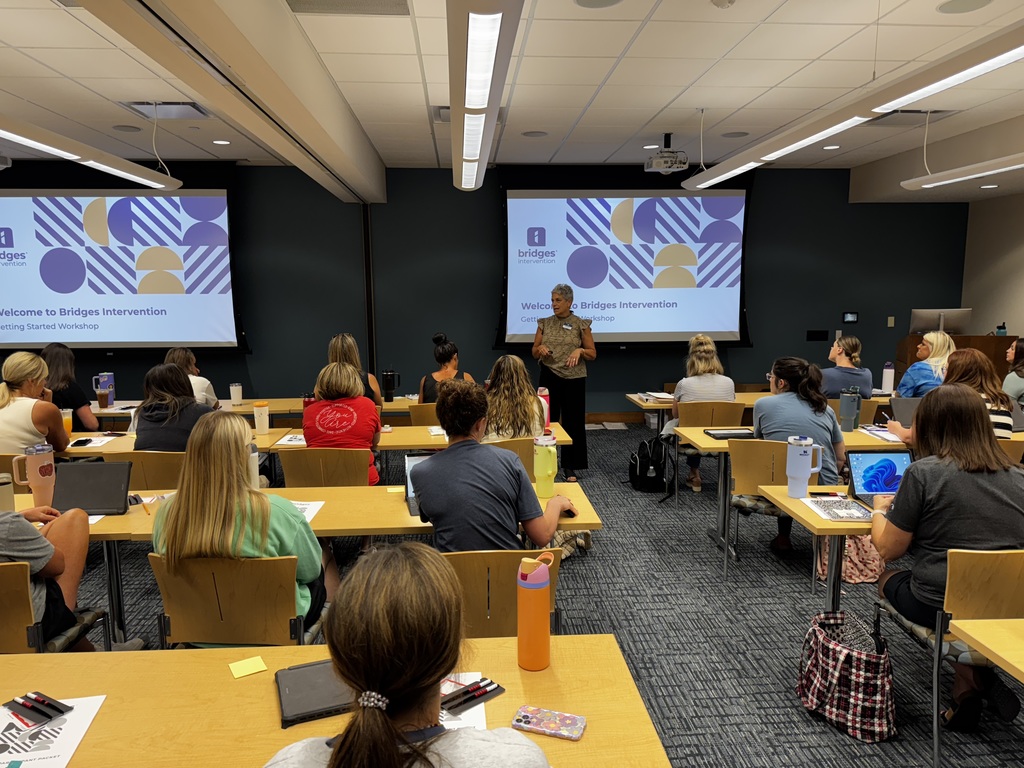 Bridges Intervention 3