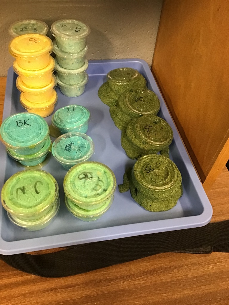 8th graders making bath bombs in science class