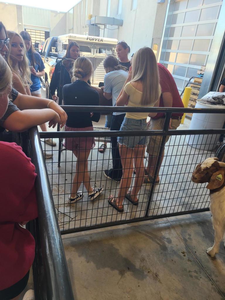 1000002517 - Ethan Lensch