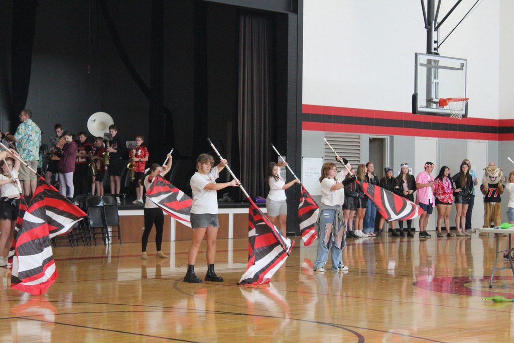 HOCO Spirit Day