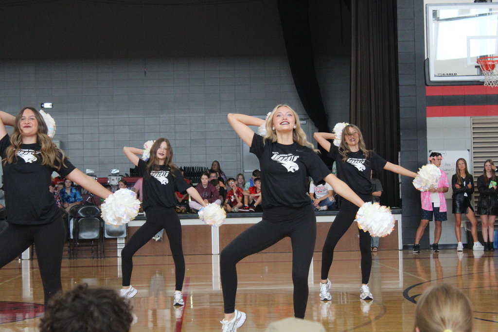 HOCO Spirit Day