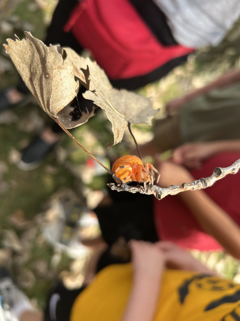 IMG_1880 - amy mcelmeel