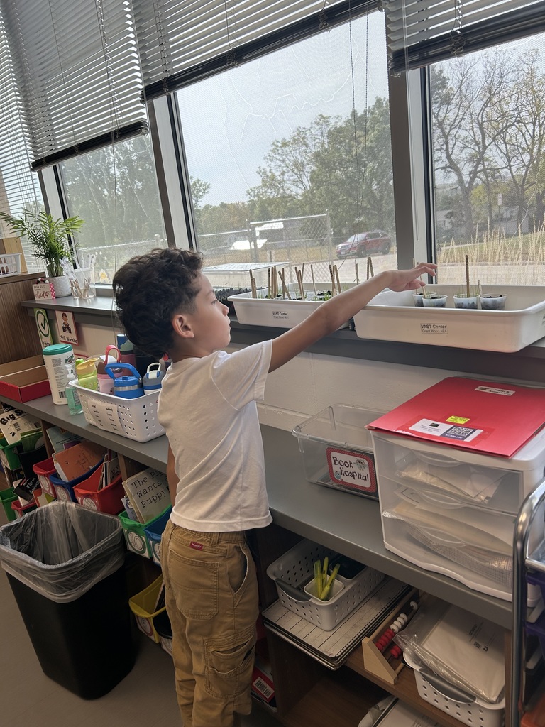 IMG_1871 - amy mcelmeel