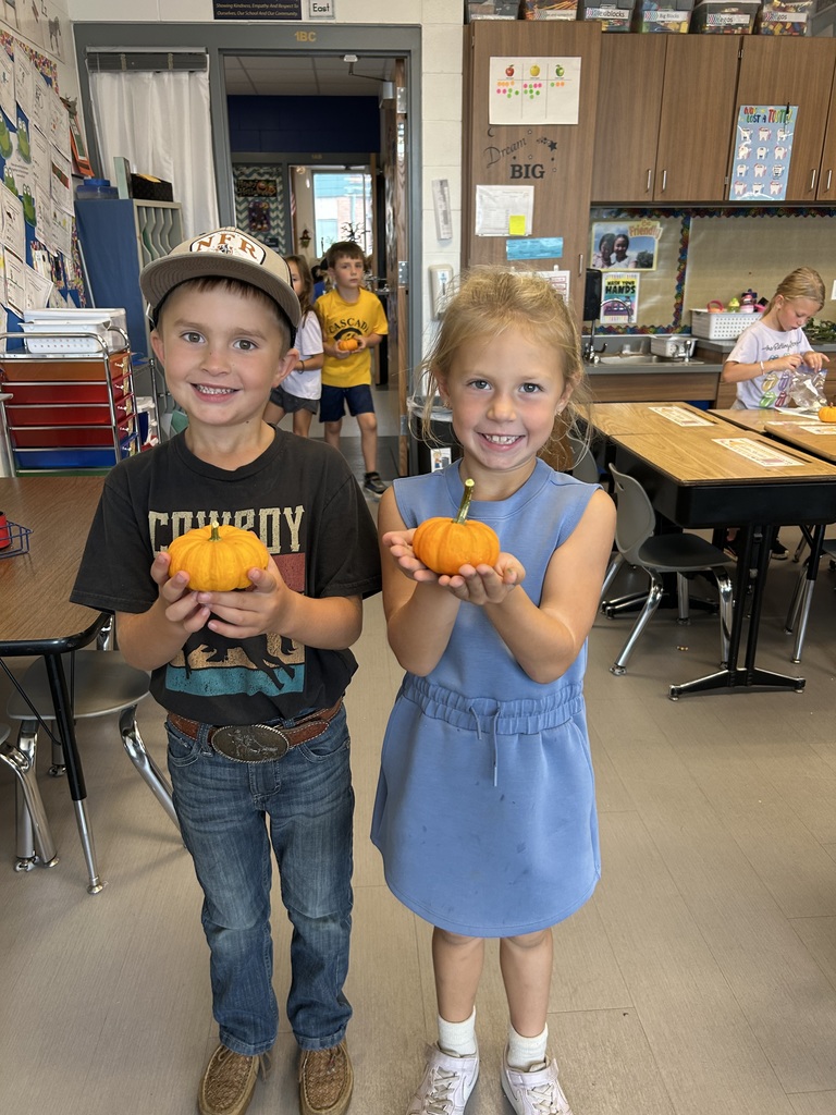 IMG_1898 - amy mcelmeel