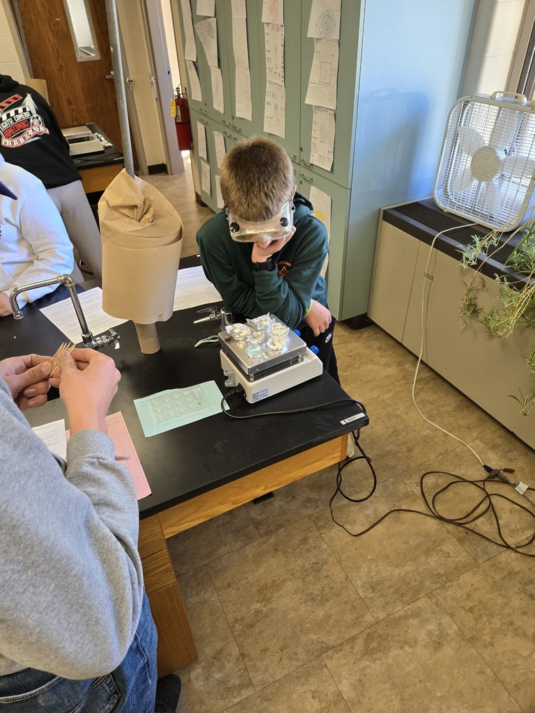 A student wearing safety goggles leans over a hot plate holding foil-wrapped samples during a science experiment.