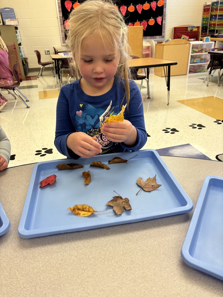 IMG_6002 - Emily Brehm