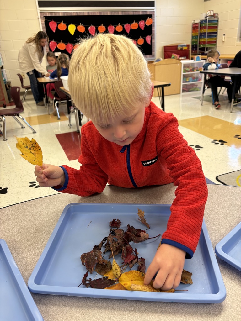 IMG_6010 - Emily Brehm