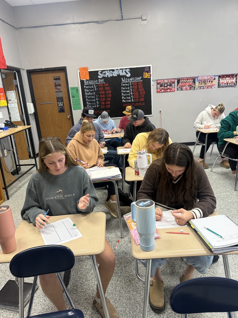 IMG_7928 - Josie Kennicott