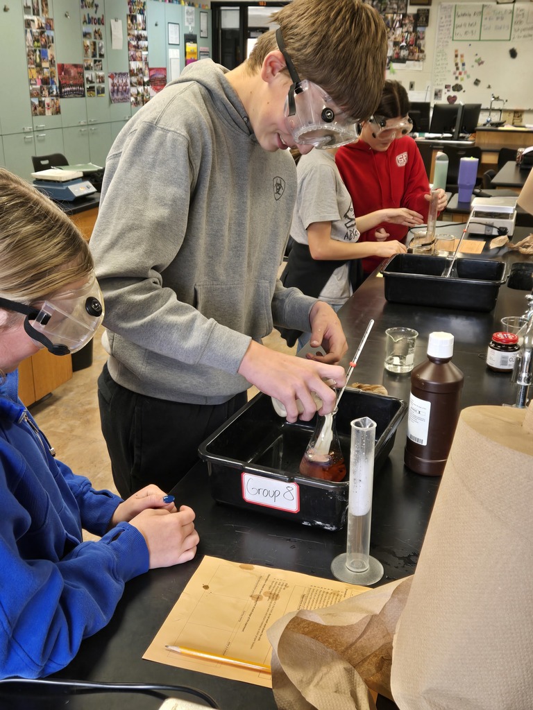 A student wearing a gray hoodie and goggles stirs a solution in a flask while a classmate observes and takes notes.