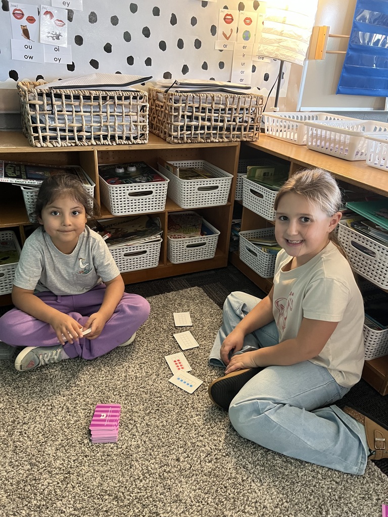 Two students sit on a carpeted area playing an educational card game that uses number and dot cards.