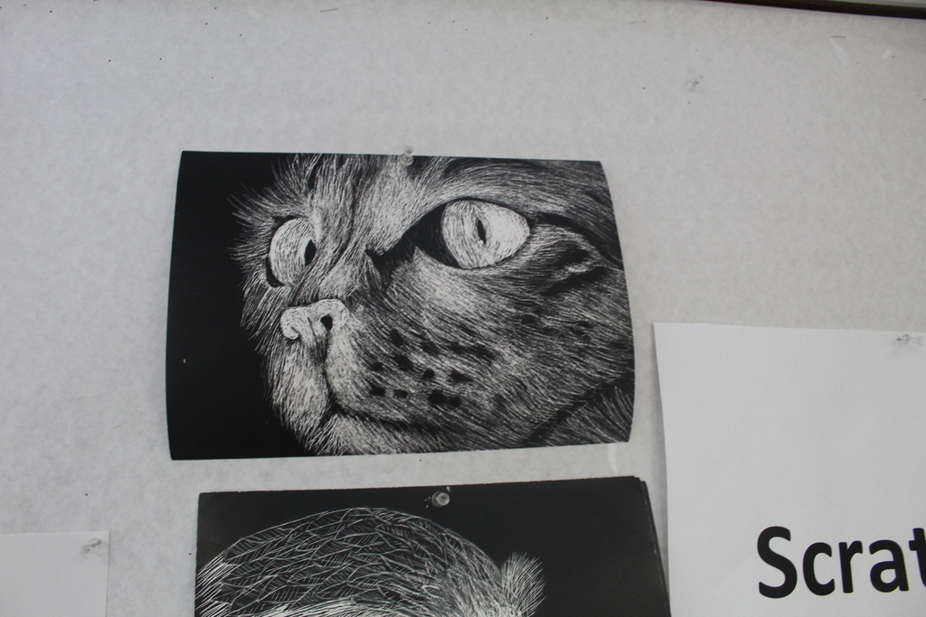 Tri 1 Art Class projects