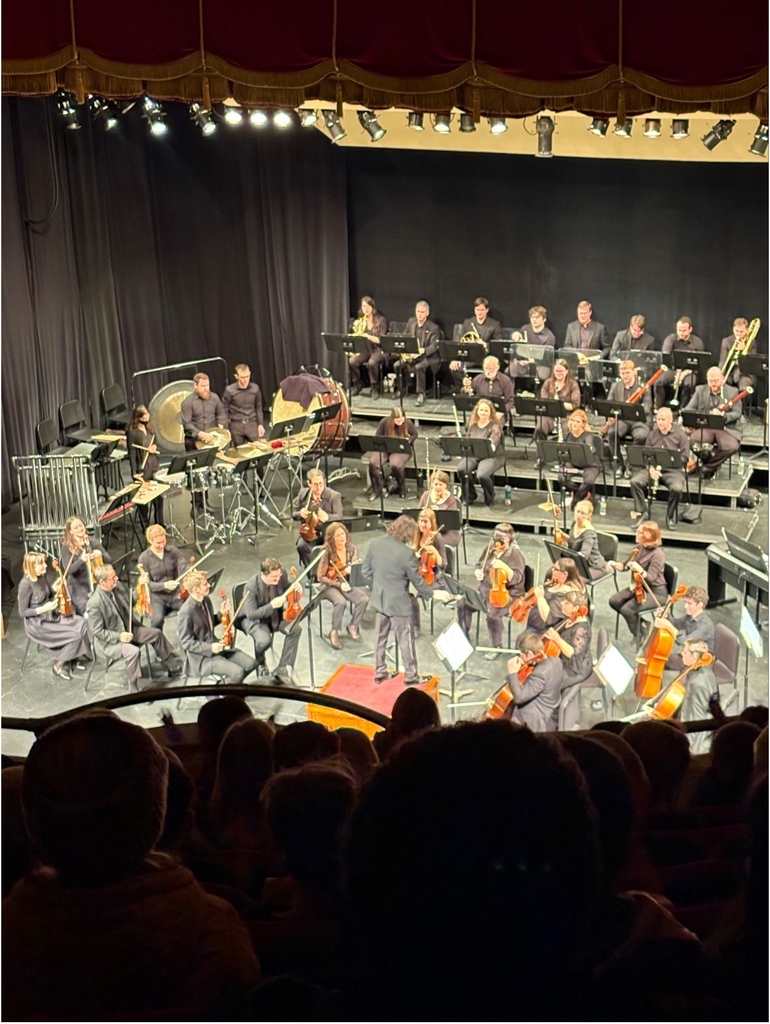 orchestra 1 - Melissa Feldmann