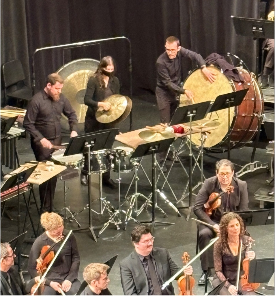 orchestra 7 - Melissa Feldmann