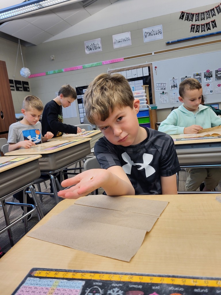 A boy sitting at his desk in a classroom holds a small wheat seed in his hand and looks at the camera with a playful expression.