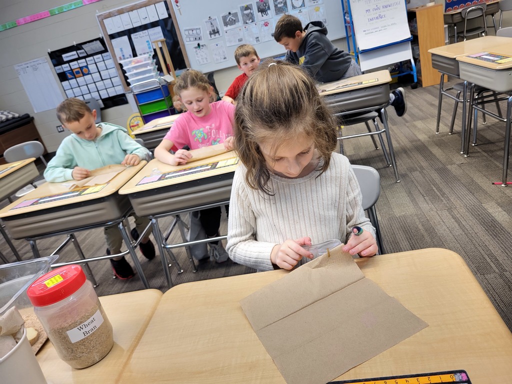 A girl sits at her desk carefully examining a wheat seed on a paper towel while classmates behind her work on the same activity.
