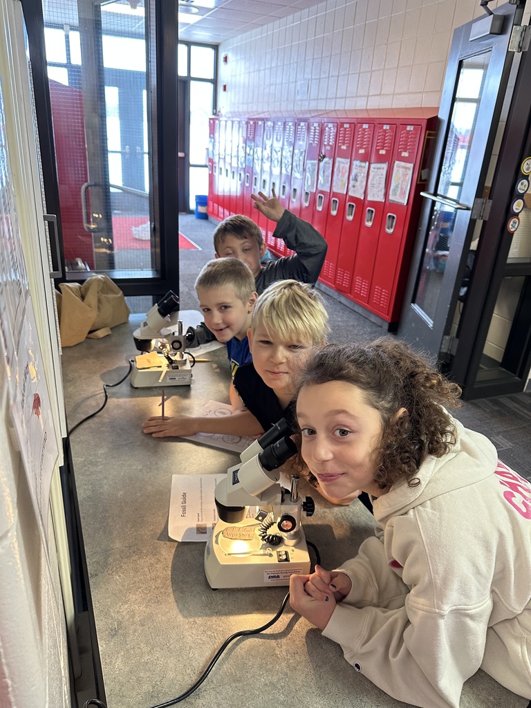 Four students gather at a counter in a hallway, each using a microscope to look at fossil samples.