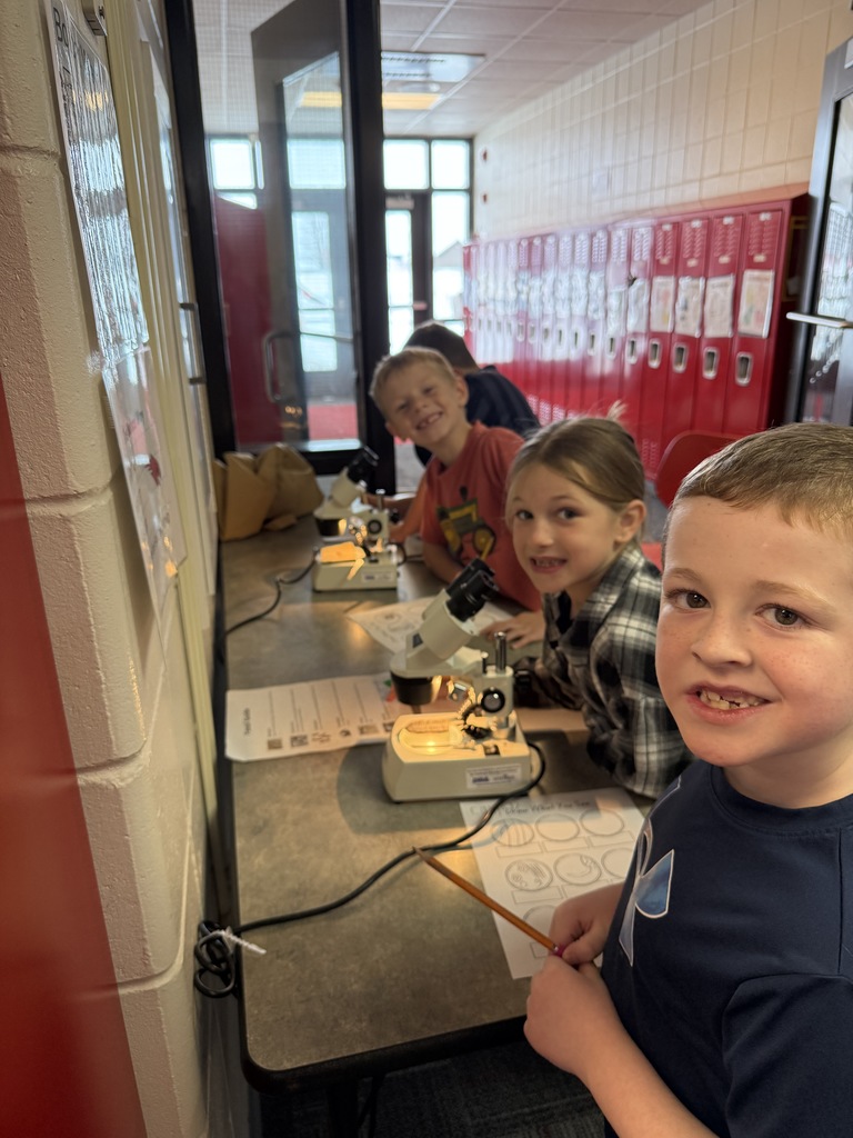 Four students gather at a counter in a hallway, each using a microscope to look at fossil samples.