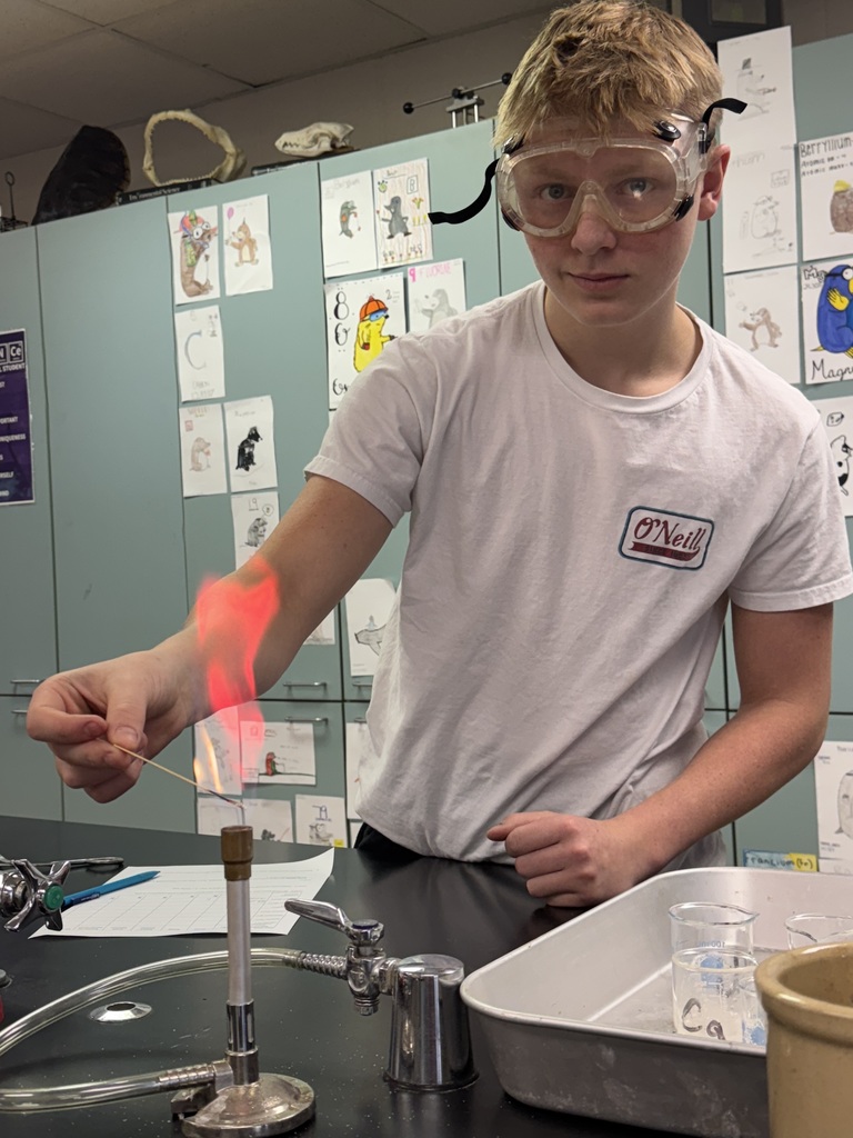 A student wearing safety goggles and a white t-shirt uses a wooden splint in a flame test, creating a red-orange flame over a Bunsen burner in a school science lab.
