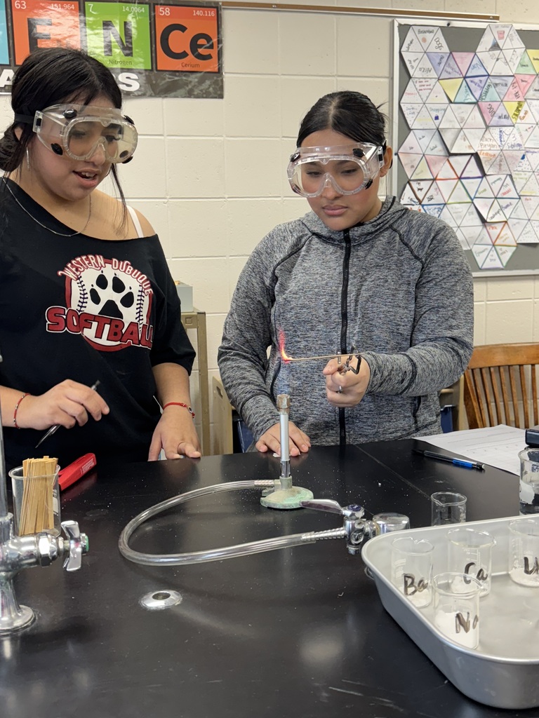 Two students wearing safety goggles perform a flame test in a science classroom. One student holds a splint with a reddish-orange flame over a Bunsen burner while the other watches attentively.