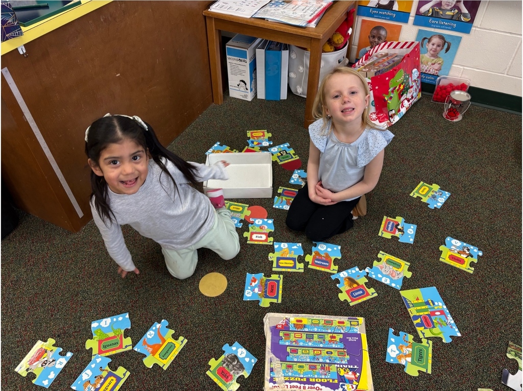 puzzle pic 2 - Andrea Timmerman