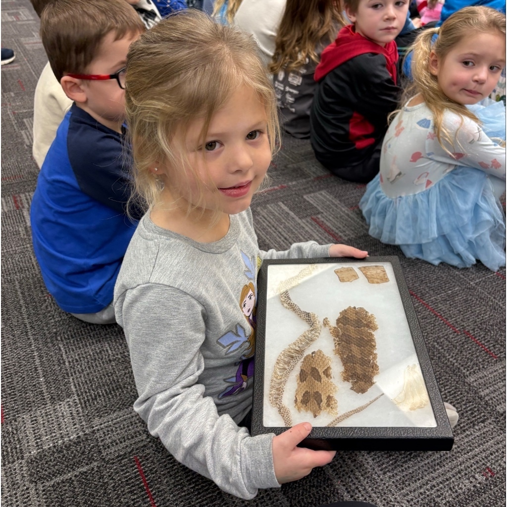 A young girl smiles while holding a display case containing snake skin and animal fur during a classroom activity.