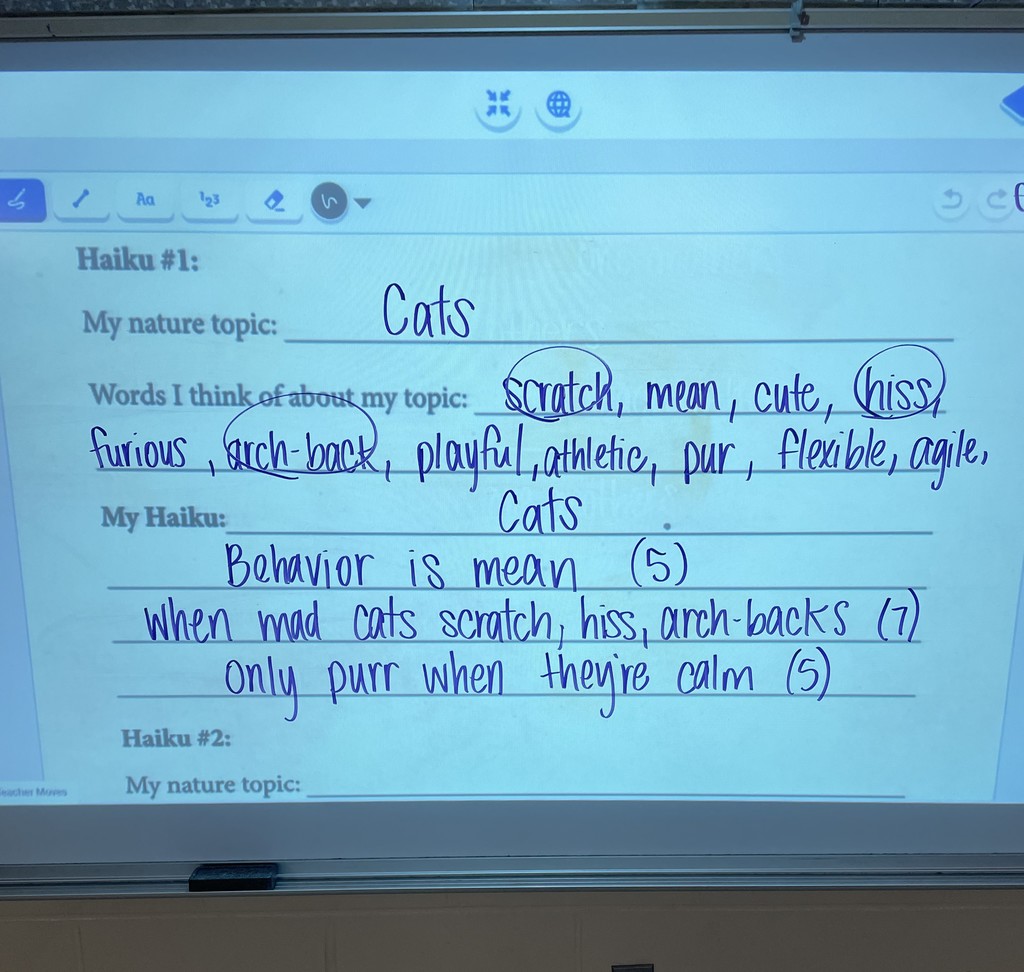 A projected worksheet shows a haiku brainstorming activity about cats, with circled words and a completed haiku on feline behavior.