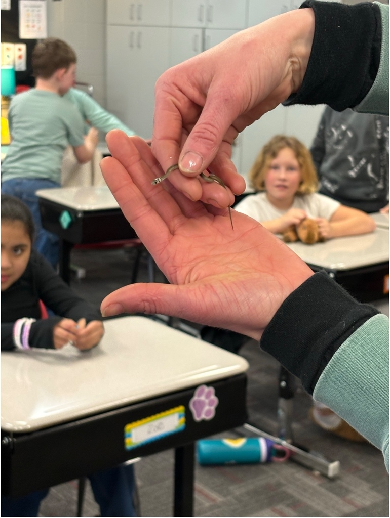 A close-up of hands holding a small snake with curious students watching in the background.