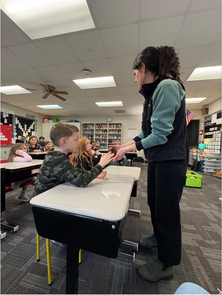 A student reaches out to touch a small snake being held by a presenter in a classroom.