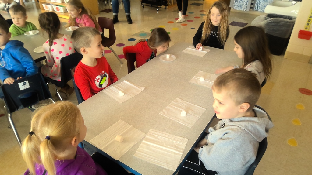 WIN_20260128_08_54_35_Pro (1)