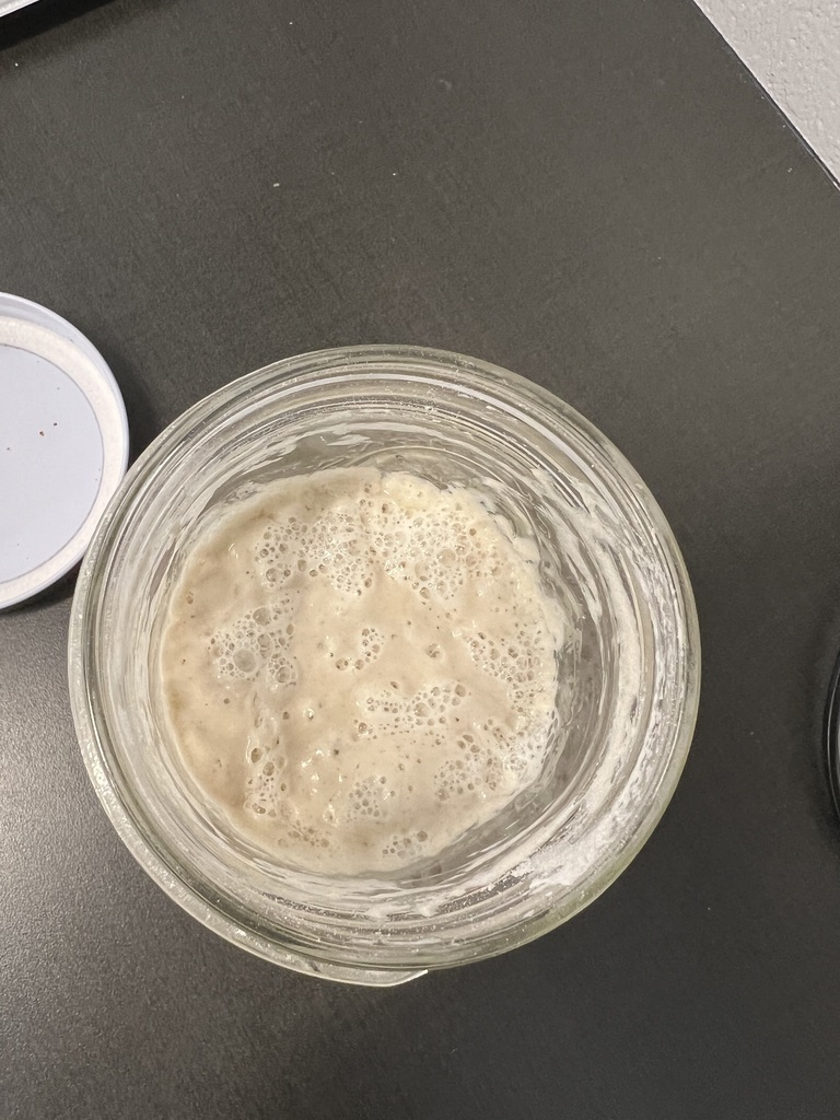 A close-up of bubbly sourdough starter in a glass jar.
