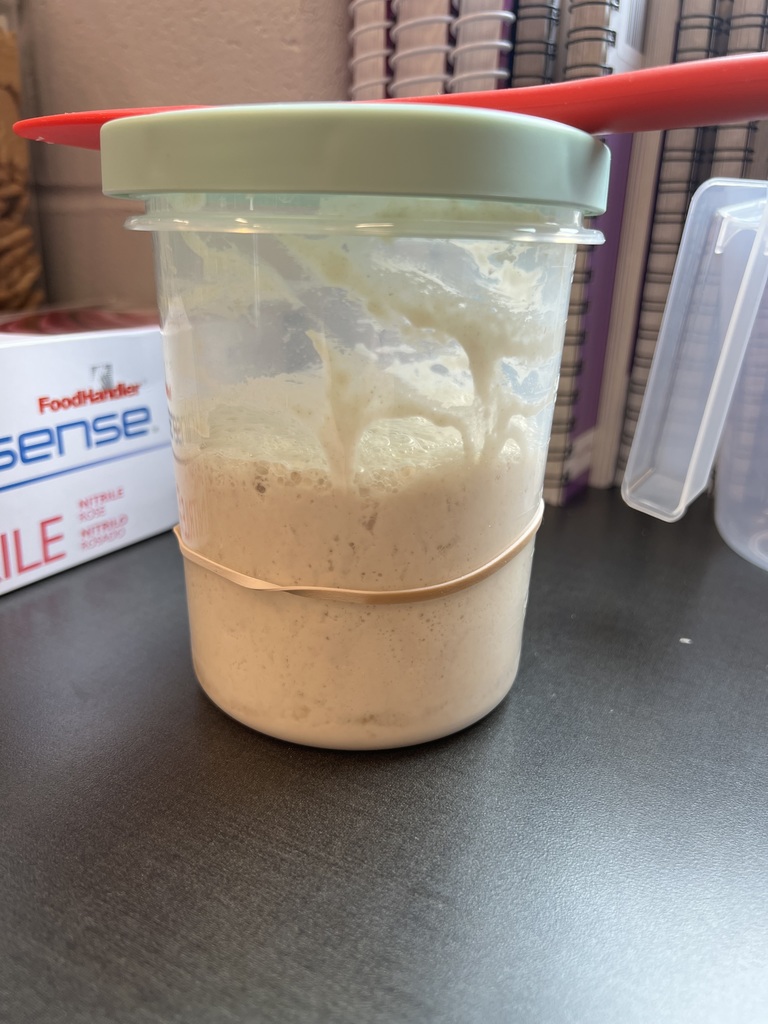 Plastic container filled with bubbly sourdough starter marked with a rubber band.