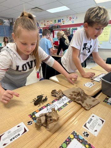 Two students watch closely as a crayfish crawls on the desk in front of them.