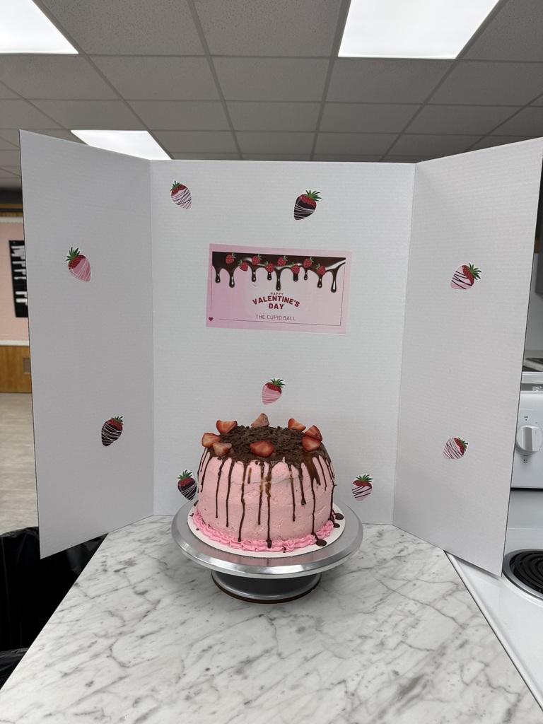 Another view of the pink cake with chocolate drizzle and strawberries, displayed for Valentine’s Day as “The Cupid Ball.”