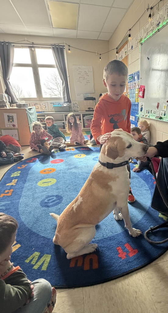 Student pets a dog sitting in the center of a classroom rug during a group activity.